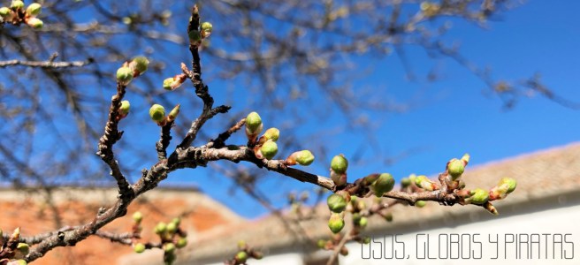 IMAGEN DESTACADA RECICLAJE con firma