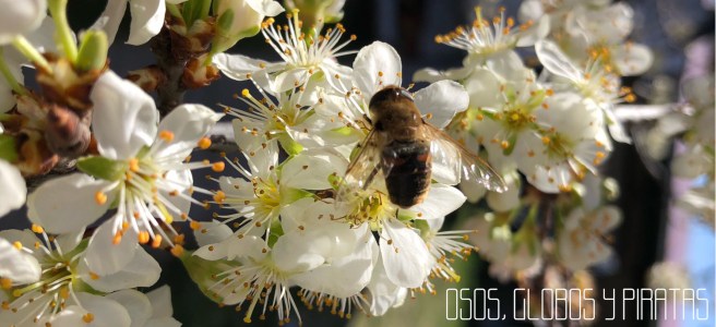 CABECERA MANUALIDADES PRIMAVERA